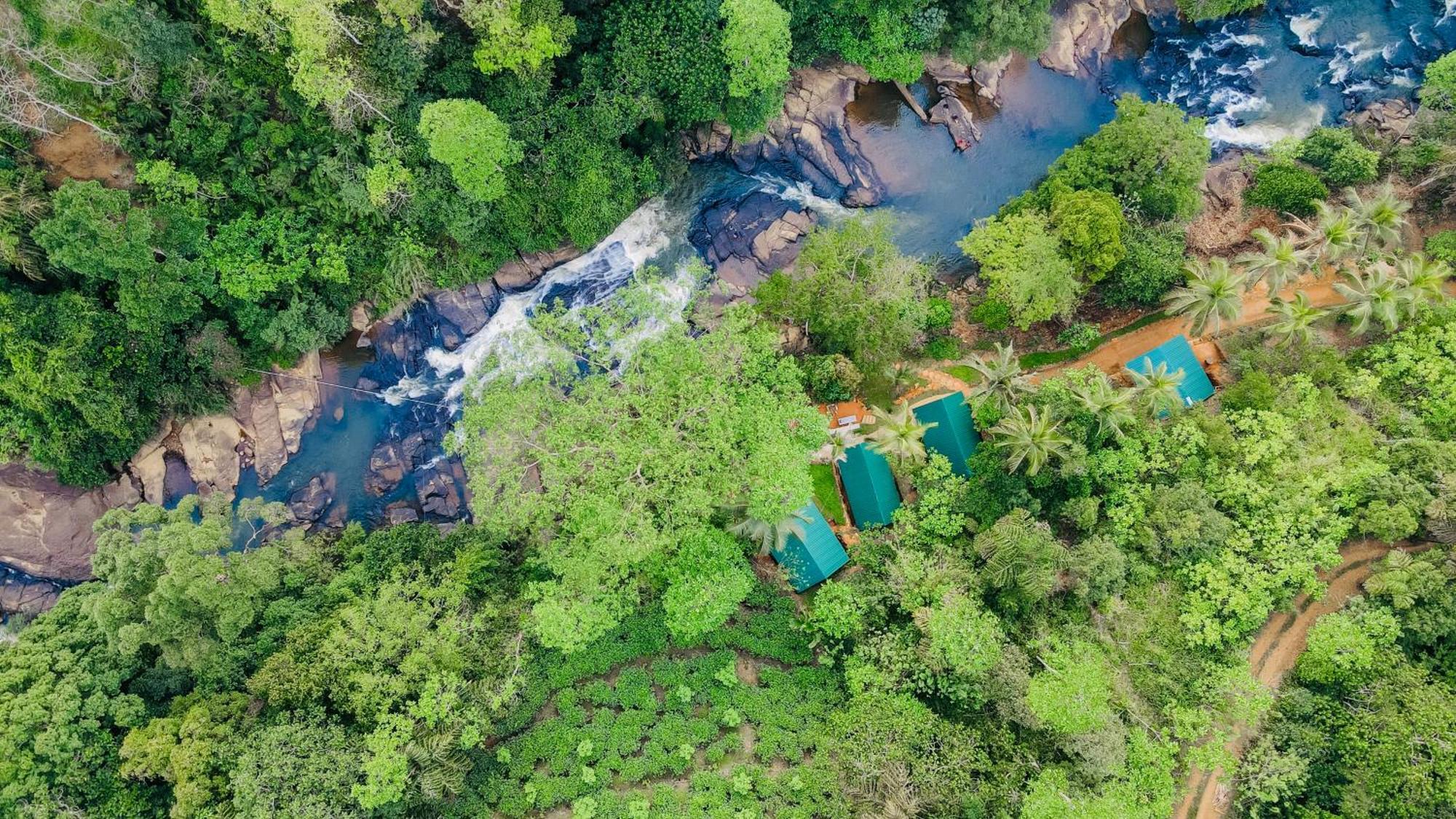 The Rainforest Hideaway Deniyaya Exterior foto