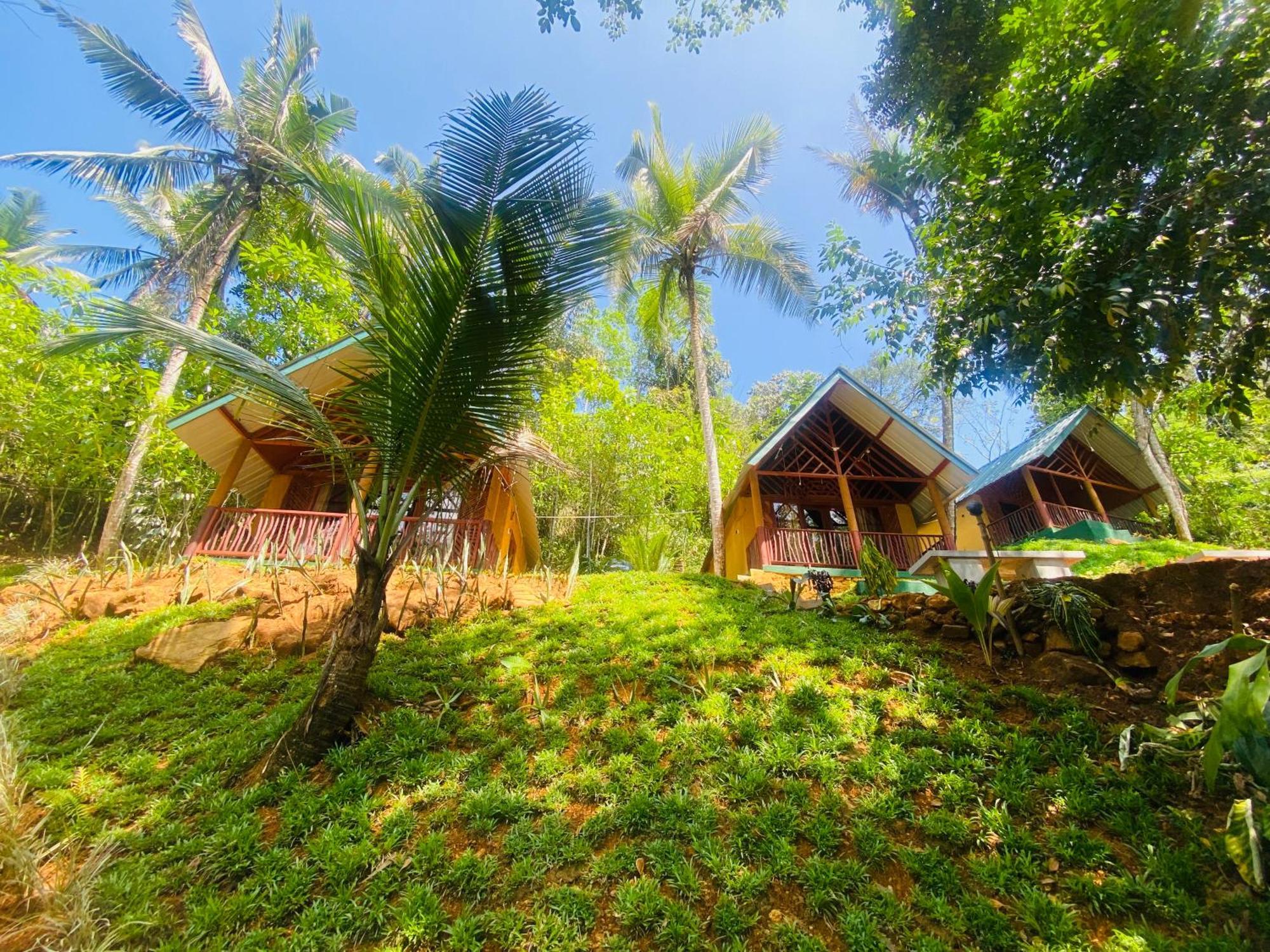 The Rainforest Hideaway Deniyaya Exterior foto