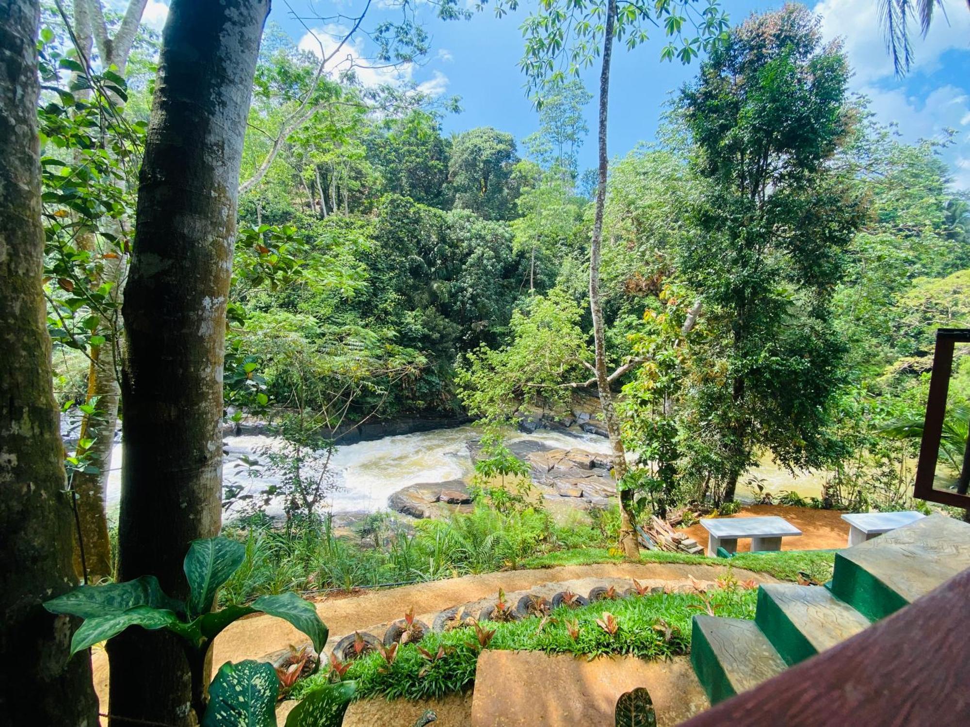 The Rainforest Hideaway Deniyaya Exterior foto