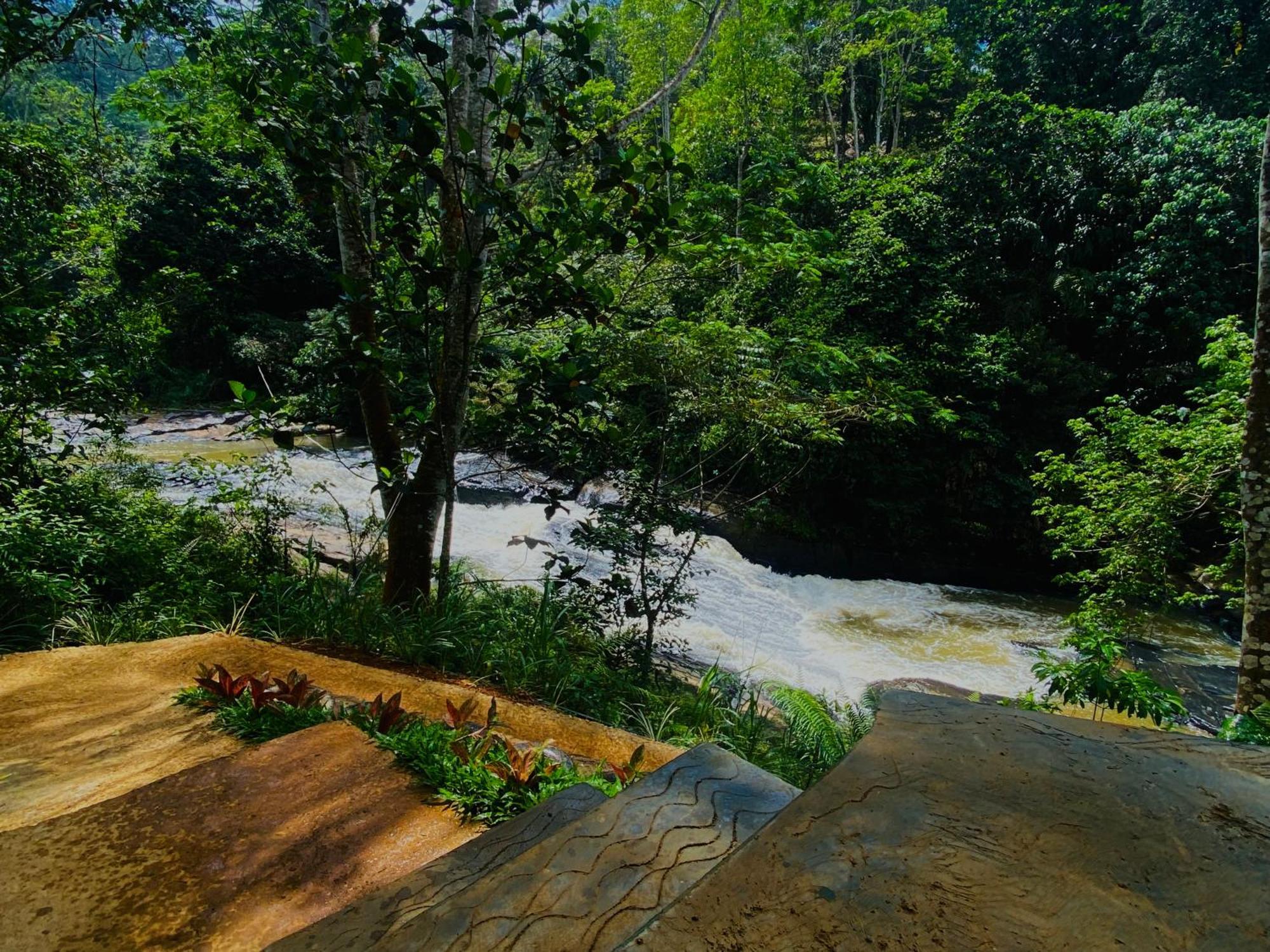 The Rainforest Hideaway Deniyaya Exterior foto