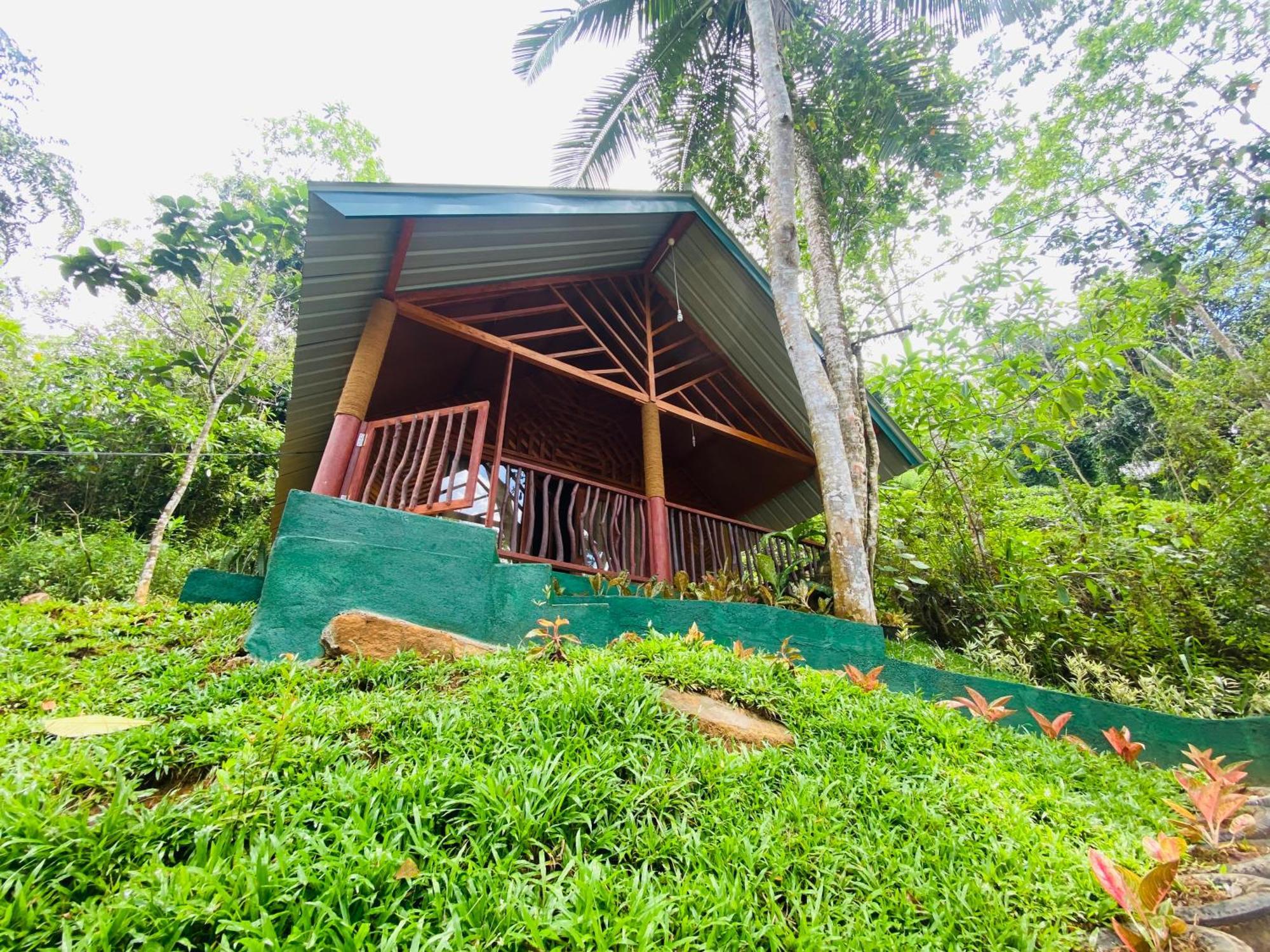 The Rainforest Hideaway Deniyaya Exterior foto