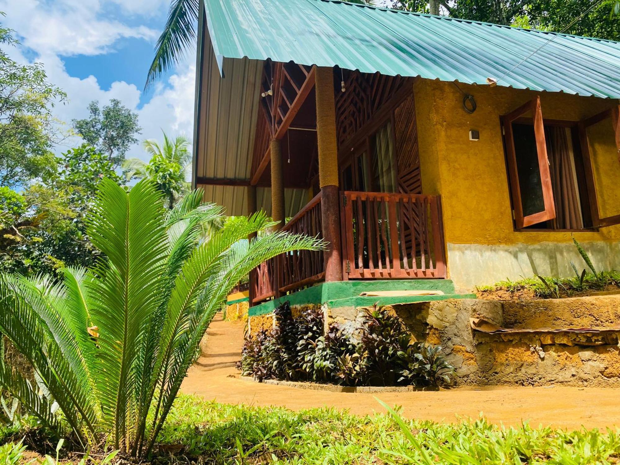 The Rainforest Hideaway Deniyaya Exterior foto