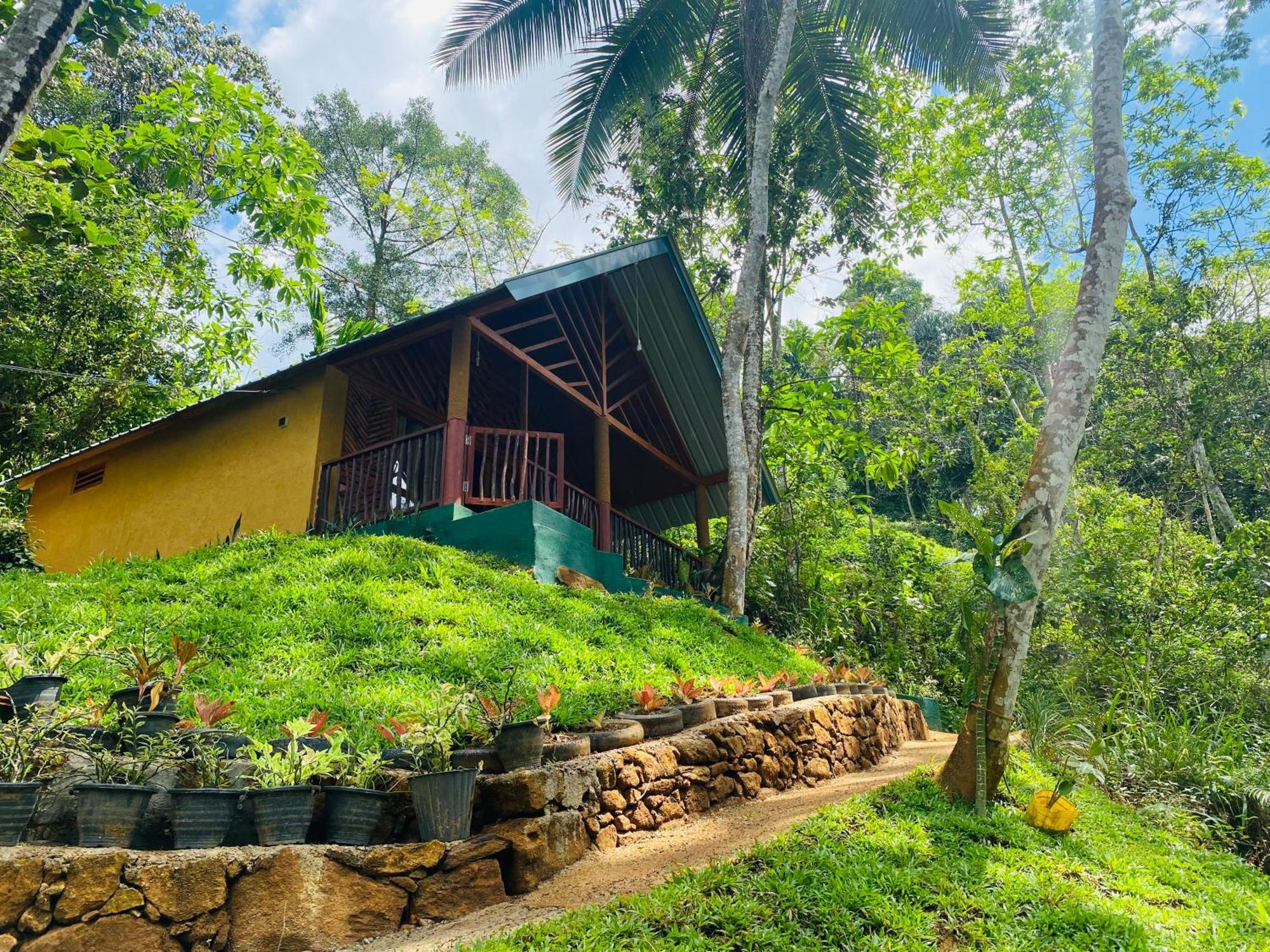 The Rainforest Hideaway Deniyaya Exterior foto